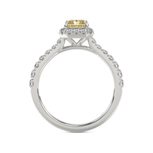Talon Setting Halo Diamonds Rings
