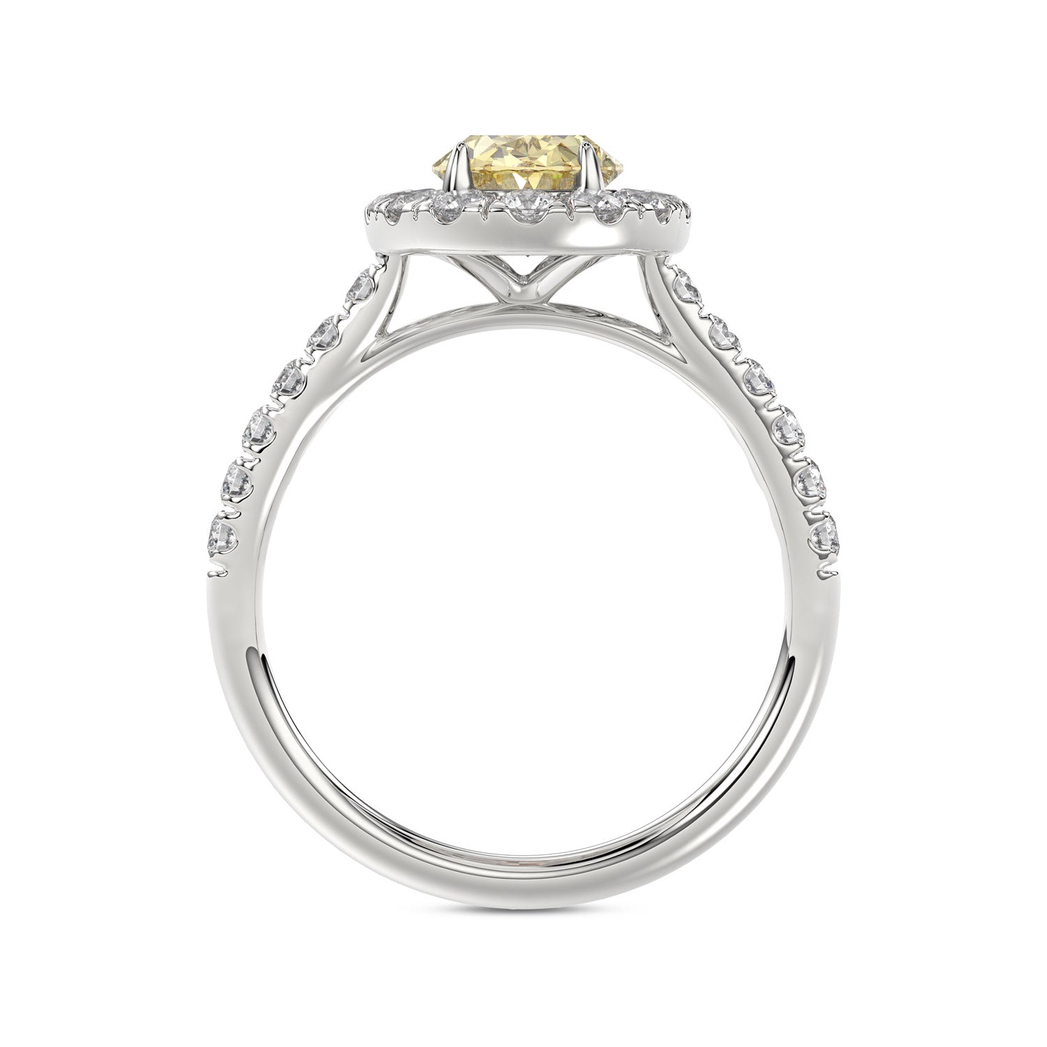 Talon Setting Halo Diamonds Rings