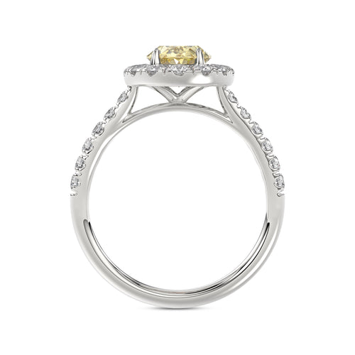 Talon Setting Halo Diamonds Rings