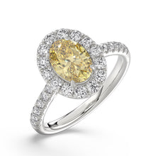 Talon Setting Halo Diamonds Rings