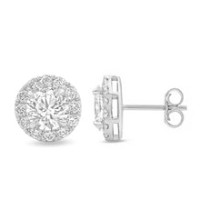 Talon Setting Halo Earring